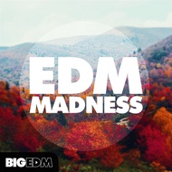 Big EDM EDM Madness 🔰 ProducerLoops *Sample Pack* (Win/Mac)