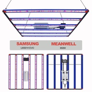 240W/800W/1000W แสงปลูกพืช Samsung lm301h evo Meanwell Driver