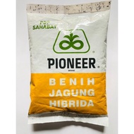 Benih Jagung Hibrida Pioneer 1Kg