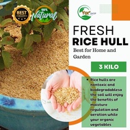 3 kg Fresh Rice Hull or Ipa Panglagay sa Halaman l Organic Fertilizer for Plants