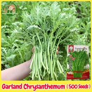 Fresh Organic Garland Chrysanthemum Seeds Vegetable Seeds for Planting (500 Seed) Small Leaf Rocket 