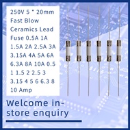 3-20Pieces 250V 5 * 20mm Fast Blow Ceramics Lead Fuse 0.5A 1A 1.5A 2A 2.5A 3A 3.15A 4A 5A 6A 6.3A 8A