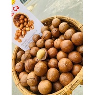 Lai Chau whole macadamia nuts type 1 for making milk, dried from macadamia nuts, macadamia nuts, fre