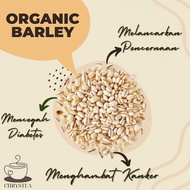 CHRYSTEA || Organic Barley (Kiloan)