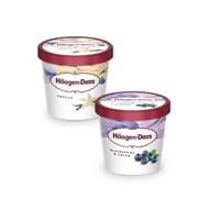 Haagen-Dazs Ice Cream Mini Cup 100ml (per pcs)