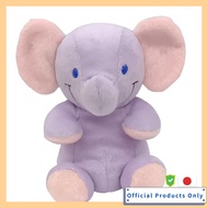 Sun Arrow Fuwari Eli Phantom K-9781