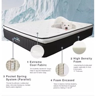 CozyHome | NeckPro Hallstatt | Extreme Cool 6x+Pocket Spring+Pillow Top Mattress(11 Inches)(All Size