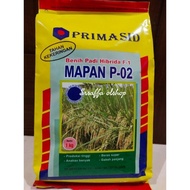 Best! Bibit Benih Padi Hibrida Mapan P-02 1Kg Primasid Part 2