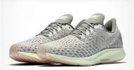 Nike pegasus