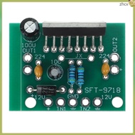 1 Set Amplifier Amp Board Power Amplifier Board Power Amplifier Circuit Board  zhihuicx