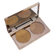 LT PRO Perfect Glow Highlighter Kit
