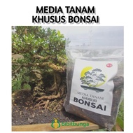 Media Tanam Tanaman Bonsai Adenium Kamboja Jepang Kaktus Siap Pakai