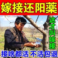 Plant Wound Healing Agent Grafting Tree Fruit Bonsai Flower Courtyard Protection Special Powerful Heal