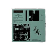 SEVENTEEN Album Mini 10th FML Fallen Misfit Lost Ver K540