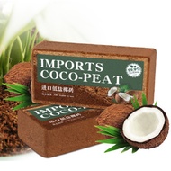 Cocopeat Brick Block 600g (Expandable)