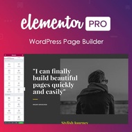 Elementor Pro Original Annual Plugin + Elementor PREMIUM Library