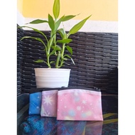 Mini wallet with gold shop motif, mini gold shop motif wallet