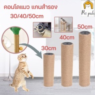 【Dargly】เสาลับเล็บแมว ใช้น๊อต M8  ที่ฝนเล็บแมวDIYอะไหล่ของคอนโดแมว 30/40/50cmเปลี่ยนเสาเกลียว