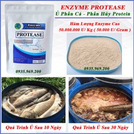 Men Ủ Phân Cá Enzyme Protease phân giải protein # Enzyme Protease nguyên liệu