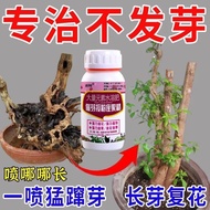 Sprout Long Sprout Long Sprout Old Pile Sprout Germination Agent Sprout Sprout Fast Sprout Anti-Yell