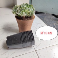 10 hard plastic 9x9 square pots