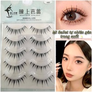 [Collection] Bridal ballet false eyelashes, professional Douyin makeup