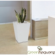 <Greenheavenz> FELTON Square Flower Pot  2453 With Square Pot Saucer 2505 Pasu Bunga dan Sayur Dgn P