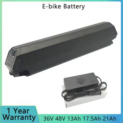 48V Reention Dorado Plus E-bike Battery 36V 21Ah 18Ah 17.5Ah Surface Ncm Moscow Milano Aspen Venice 