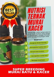 Super breeding murai kacer nutrisi ternak burung dongkrak birahi penjodohan