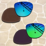 2 Pairs POLARIZED Replacement Lenses for Oakley Frogskins Hybrid OO9289 55mm Sunglasses Frame