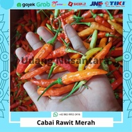 Cabai Rawit Merah (1Kg) Segar Cabe Rawit Merah Pedas Cabai Rawit Setan