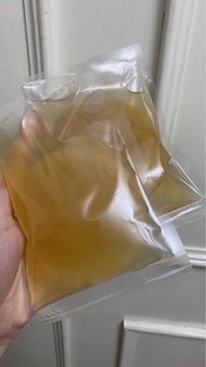 100g 康普茶自製包 Kombucha Scoby 康普茶 紅茶菌 紅茶菇 益生菌🍃有需要可加購紅茶葉 $10(10g) / $40(50g) 📦SF到付