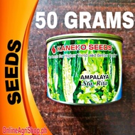 ✚ STA. RITA AMPALAYA SEEDS (50 GRAM CAN) BY KANEKO SEEDS