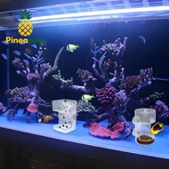 [Pine-t] Fish Feeder For Aquarium 2025 New Fish Tank Dish Tray With Suction Cup Acrylic Fish Feeding