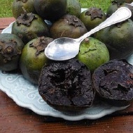 Pokok Black Sapote/Kek Coklat