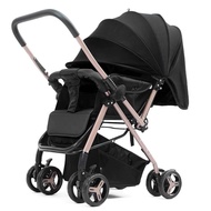 Baby FLYBB Stroller - 2-way Folding Cabin Size.