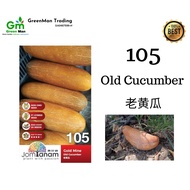 Seed Old Cucumber Gold Mine 老黄瓜- 105（20seeds)