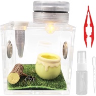 Jumping Spider Enclosure Decor, Tarantula Enclosure, Acrylic Bright Jumping Spider Habitat Spiders B