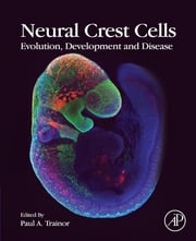 Neural Crest Cells Paul Trainor
