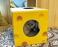 全新 芝士外型貓抓板  貓屋  貓窩  貓玩具  瓦楞紙  寵物用品