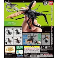 Bandai GASHAPON 昆蟲圖鑑 鍬形蟲 扭蛋