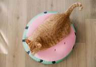 懶骨頭-微甜西瓜   貓咪床墊 狗狗床墊 寵物睡墊