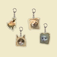 Creative Animal Keychain Retro Cute Kitten Acrylic Fun Kitten Accessories Pendant Toast D0w8