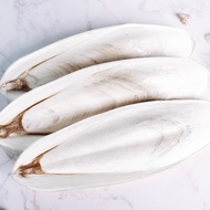 Cuttlefish Bone/Tulang Sotong/Makanan Burung