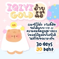 iQIYI VIP มาตราฐาน 30 วัน หารอ้ายฉีอี้ (พร้อมส่ง) ✅ > (รับรหัสทางช่องแชท)