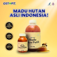 Ostofit Original Eucalyptus Honey 1 Kg Without Mixture