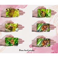 ohana Rubber Ref Magnet Souvenir - Bohol Design