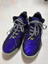 Adidas D Rose Son of Chi 兒童波鞋