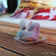 Accessories Features Creative Proverbs Unique Ornaments Teenagers Interior Gifts Influencer Cars Lio