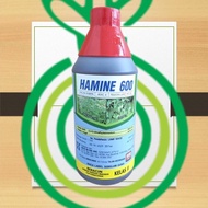 HAMINE 600 - 1L - 2,4-D dimethylammonium 60.0% /SAMA D-AMINE 720 & KEN AMINE 600 & AMINE TOX & HC AM